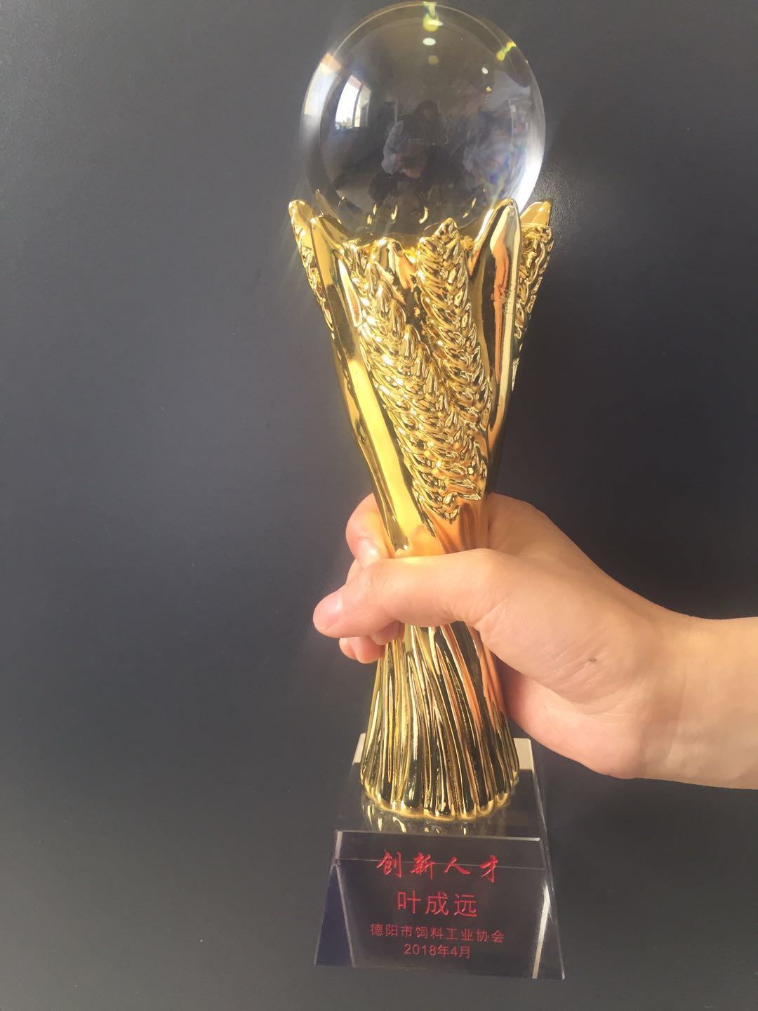 德陽創(chuàng)新技術(shù)人才獎杯.jpg