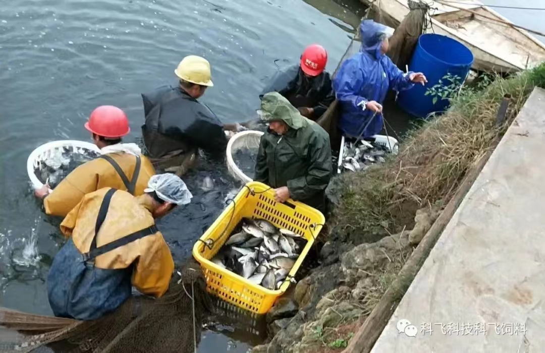 運(yùn)輸用水.jpg